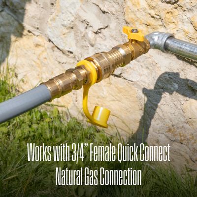 Image showing 6 th Westinghouse 25-Foot Natural Gas Hose with Adapter, 3/4-Inch Diameter, For Tri Fuel Generators