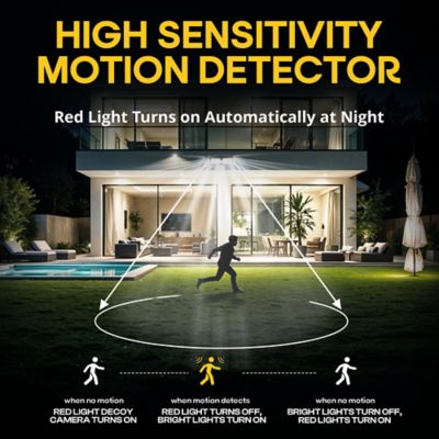 Image showing  Bionic Wall Light XL Pro 1000 Lumens Solar Powered Integrated LED Motion Activated Wall Light