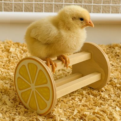 Image showing  Lemon 3-Bar Perch Chick Toy