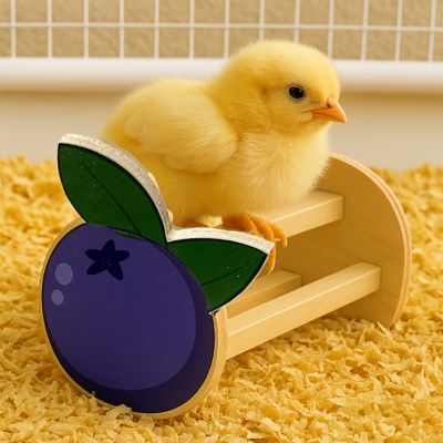 Image showing  Blueberry 3-Bar Perch Chick Toy