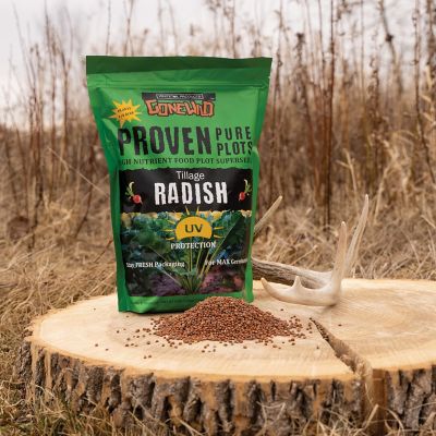 Image showing 2 th Whitetail Products Gone Wild Tillage Radish Food Plot Seeds