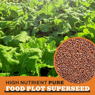 Image showing 3 th Whitetail Products Gone Wild Tillage Radish Food Plot Seeds