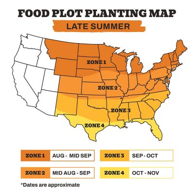 Image showing 7 th Whitetail Products Gone Wild Tillage Radish Food Plot Seeds