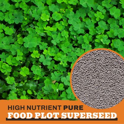 Image showing  Premium Clover Food Plot Seeds