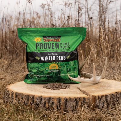 Image showing  Austrian Winter Peas Food Plot Seeds