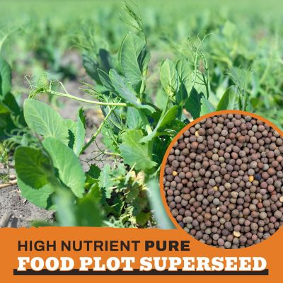 Image showing  Austrian Winter Peas Food Plot Seeds
