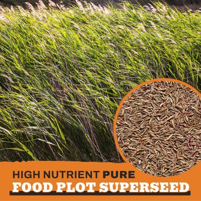 Image showing  Shady Trail/Woods Food Plot Seeds