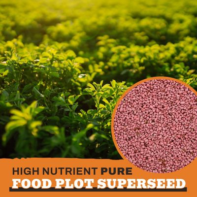 Image showing  Premium Alfalfa Food Plot Seeds