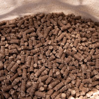 Image showing  Cookie Dough Bear Bait Pellets