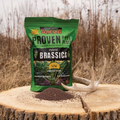 Image showing 2 th Whitetail Products Gone Wild Hybrid Brassica Food Plot Seeds