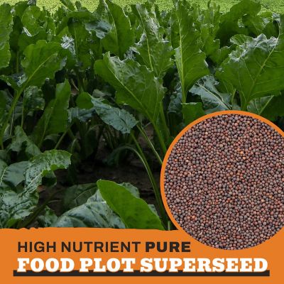 Image showing 3 th Whitetail Products Gone Wild Hybrid Brassica Food Plot Seeds