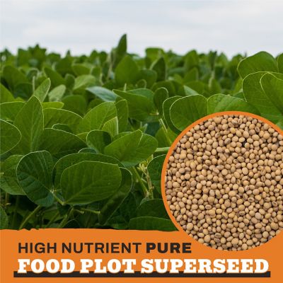 Image showing  Round-Up Ready Forage Soybean Food Plot Seeds