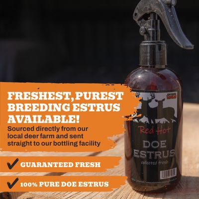 Image showing  RED HOT! 100% Pure Doe Estrous