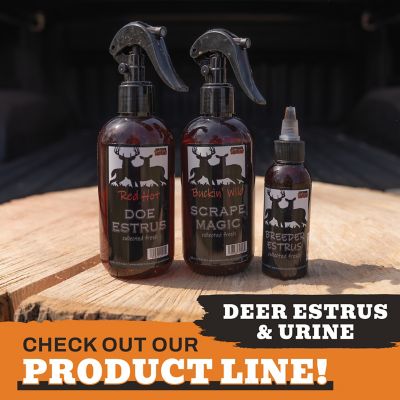 Image showing  RED HOT! 100% Pure Doe Estrous