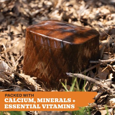 Image showing 3 th Whitetail Products Gone Wild Apple Flavor Bucket Block Deer Mineral Supplement