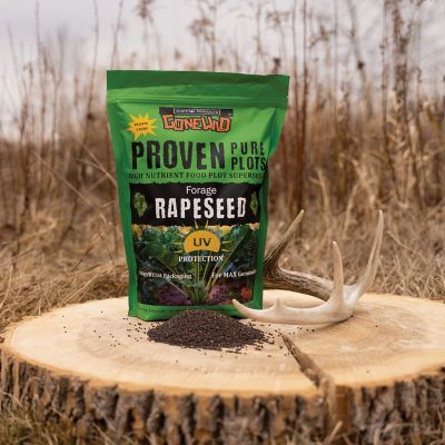 Image showing  Forage Rapeseed Food Plot Seeds