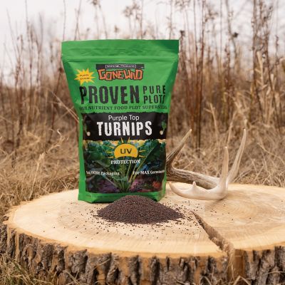Image showing  Purple Top Turnips Food Plot Seeds