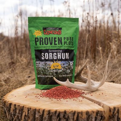 Image showing  Screening Forage Sorghum Food Plot Seeds