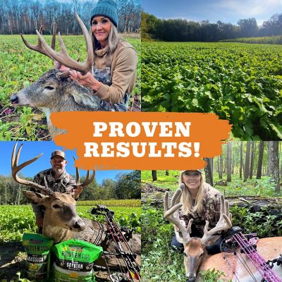 Image showing 5 th Whitetail Products Gone Wild Screening Forage Sorghum Food Plot Seeds