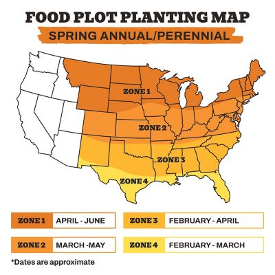 Image showing 7 th Whitetail Products Gone Wild Screening Forage Sorghum Food Plot Seeds