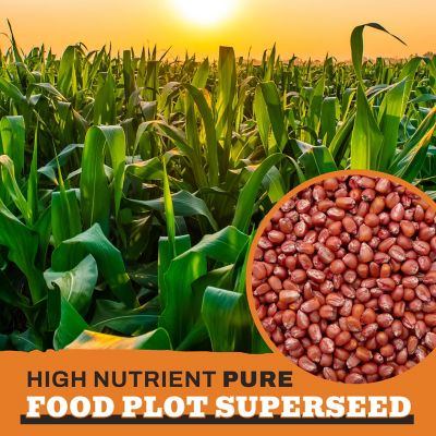 Image showing  Corn Food Plot Seeds