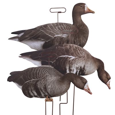 Higdon Outdoors FLATS Specklebelly Goose Motion Silhouette (12pk)