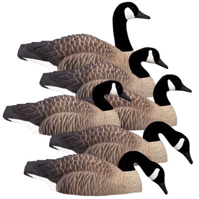Higdon Outdoors Alpha Half Shell, Canada , Flocked Heads (6pk)
