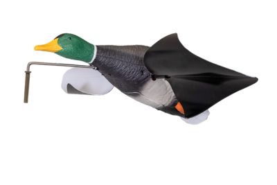 Image showing  Flasher Flyer Breeze, Mallard Drake