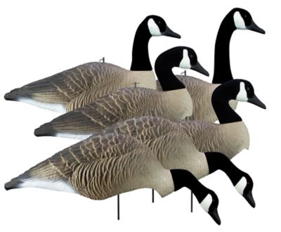 Higdon Outdoors Alpha Wobbler Full Form Shell Variety pk., Canada, Flocked Heads, 6 pk.