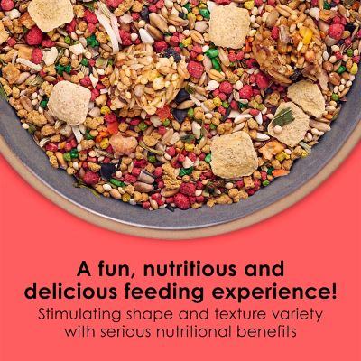 Image showing 2 Fiesta Parakeet