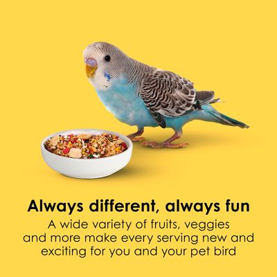 Image showing 2 Fiesta Parakeet