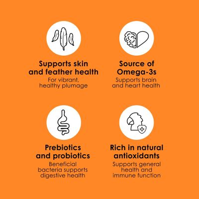 Image showing 2 Fiesta Parakeet