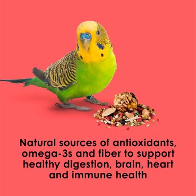 Image showing 5 th 2 Fiesta Parakeet