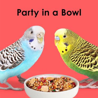 Image showing 8 th 2 Fiesta Parakeet