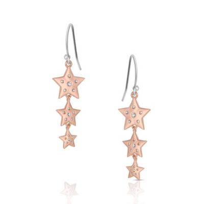 Image showing  Trio of Wishes Earrings