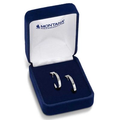 Image showing  Horseshoe Nail Hoop Earrings