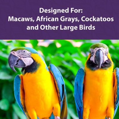 Image showing  Large Bird Food, 25 lb.