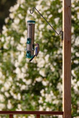 Image showing  Multi-Position Wall Mounting Bird Feeder Bracket, 18 in., Black