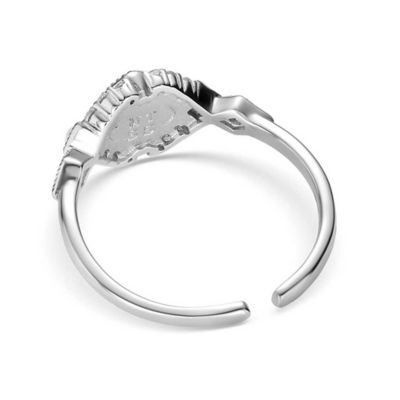 Image showing  Crowned Glacier Ring