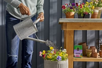 Image showing  1.5 lb. 600 sq. ft. Water Soluble Bloom Booster Flower Food