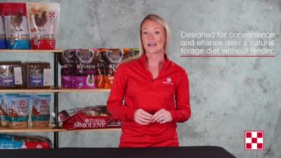 Image showing  AntlerMax Deer Block with Climate Guard, 33 lb.