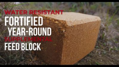 Image showing  AntlerMax Deer Block with Climate Guard, 33 lb.