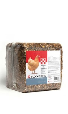 Purina Flock Block Poultry Supplement, 25 lb. Bag