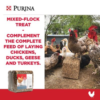 Image showing  Flock Block Poultry Supplement, 25 lb. Block