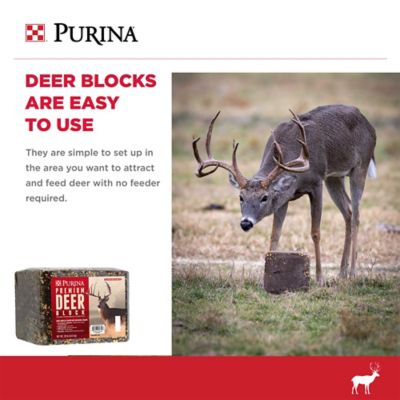Image showing  Premium Deer Block, 20 lb.