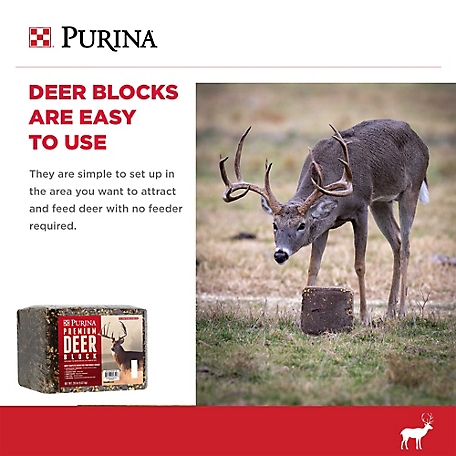 treeline Apple Addiction Protein Feed Block for Deer at Tractor