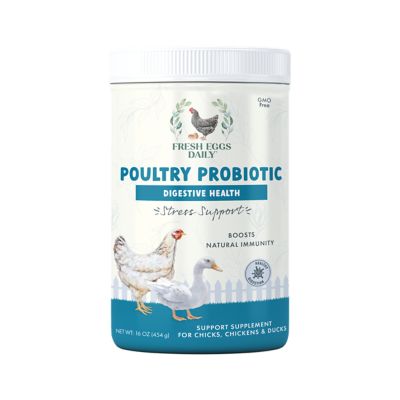 Fresh Eggs Daily Poultry Probiotics DIGESTIVE