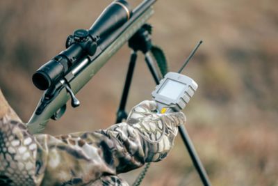 Image showing 5 th FOXPRO Prowler Digital Game Call