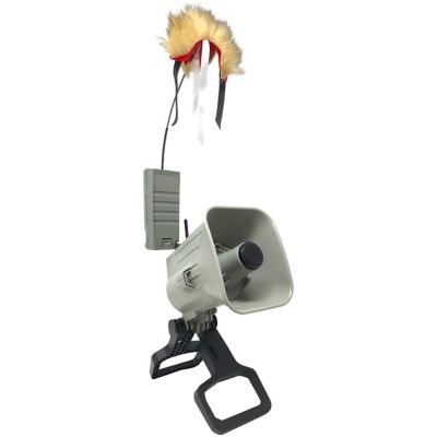 Image showing  X-Decoy