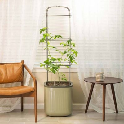 Image showing  Self-Watering Tomato Planter with Trellis - Sage Green